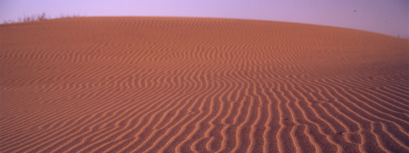 LOST SURFACE